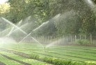 Clarindalandscaping-water-management-and-drainage-17.jpg; ?>