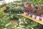 Clarindaplant-nursery-7.jpg; ?>